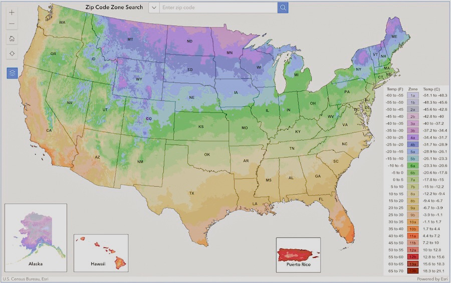 Know Your Zone: An Essential to&nbsp;Gardening