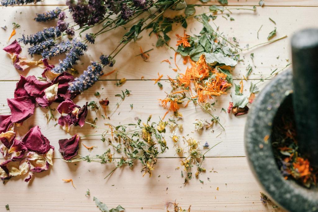 5 Essential Herbs Every Mom Should Have in Her Home&nbsp;Apothecary