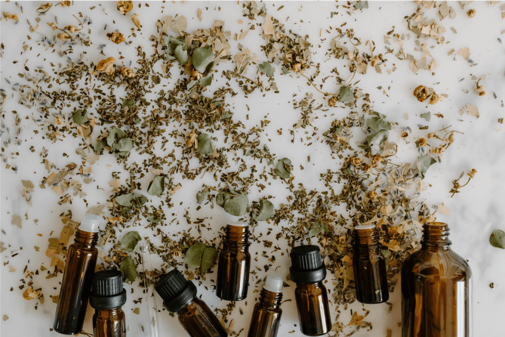 Home Apothecary: 10 Essential&nbsp;Herbs