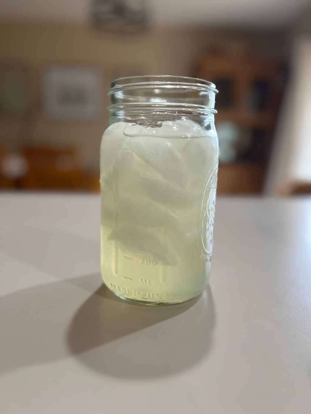 Homemade Ginger Ale