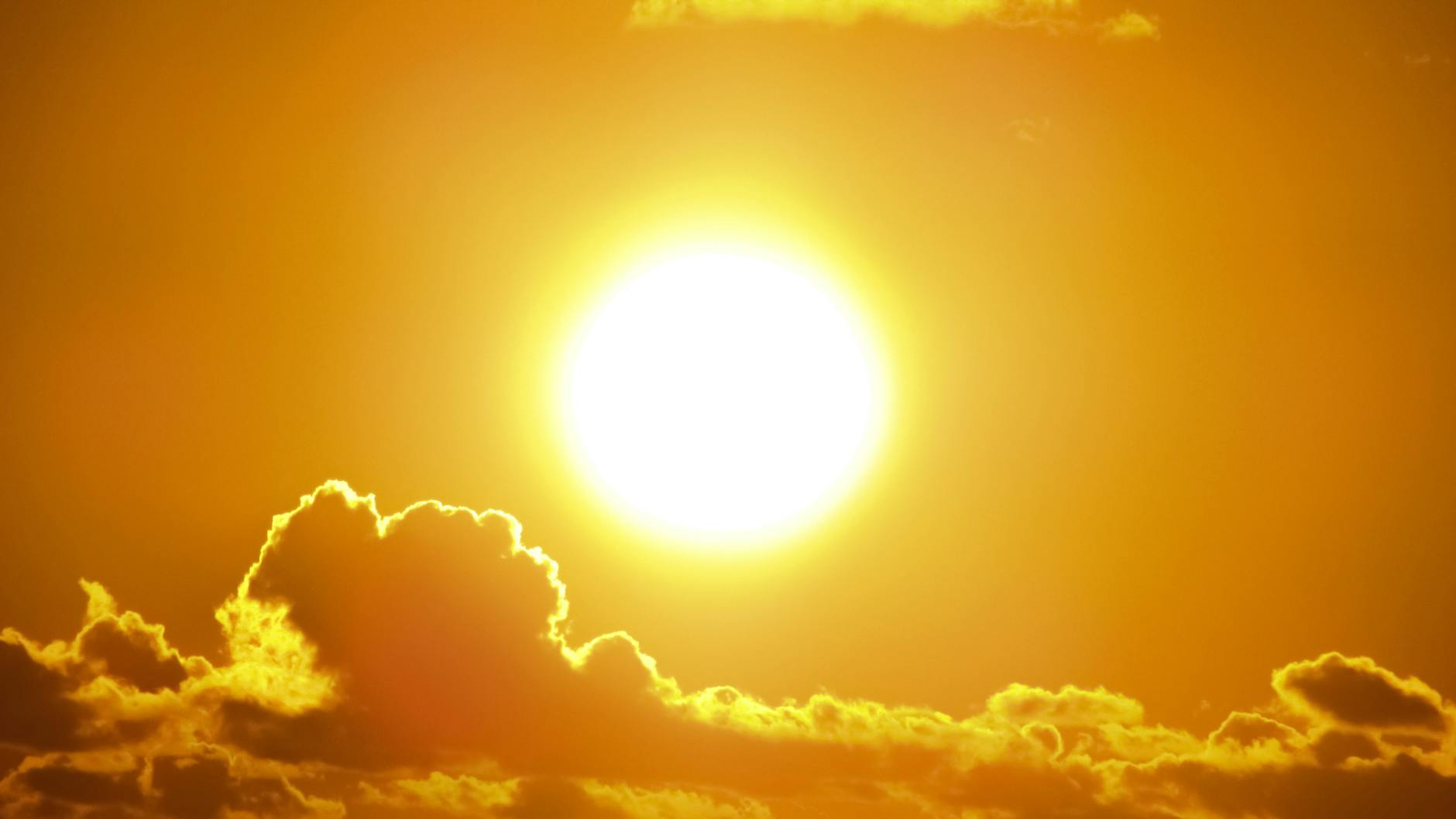 Soaking up the Sun: The Importance of Daily Vitamin D